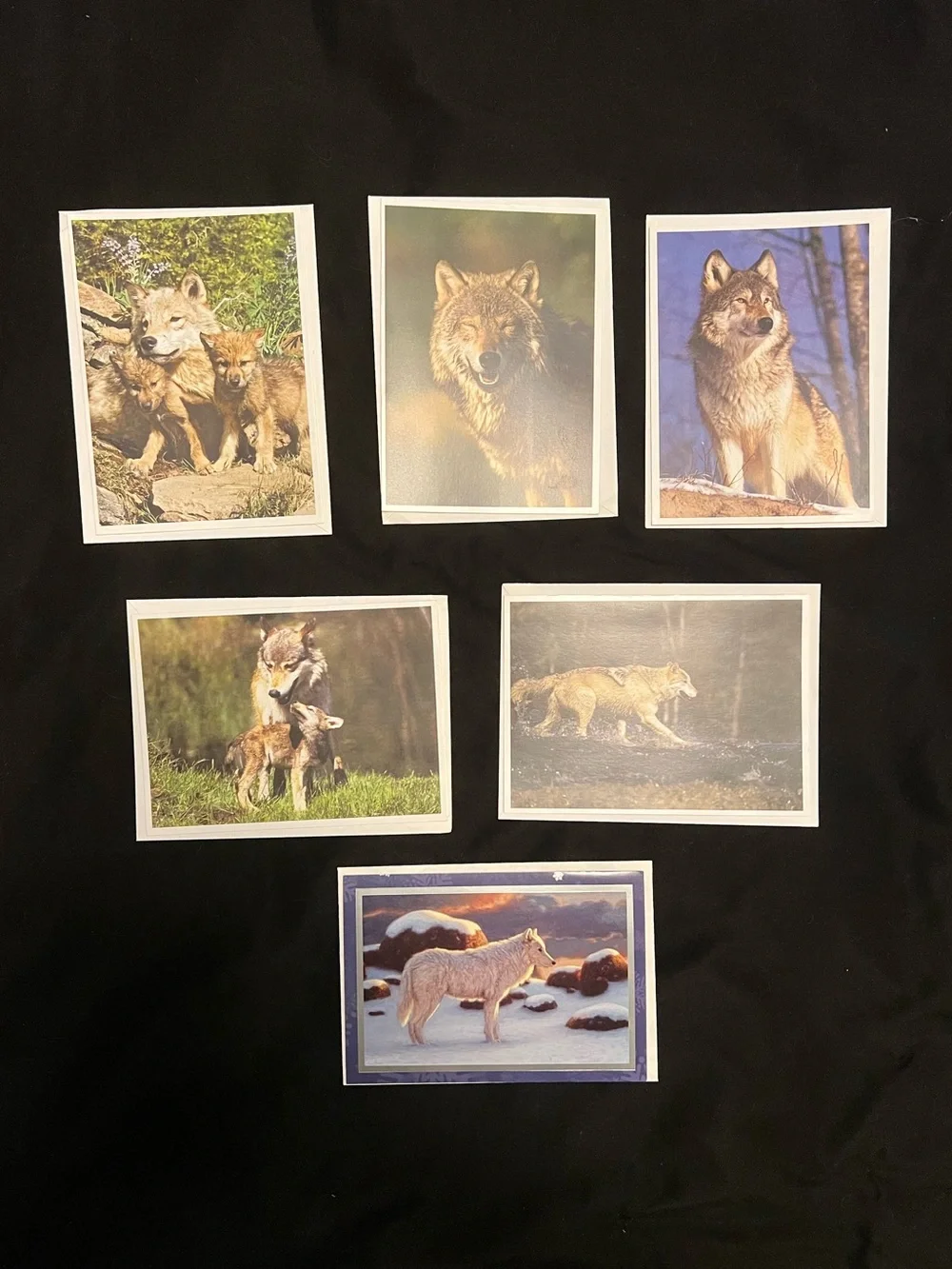 Wolf Greeting Card Bundle